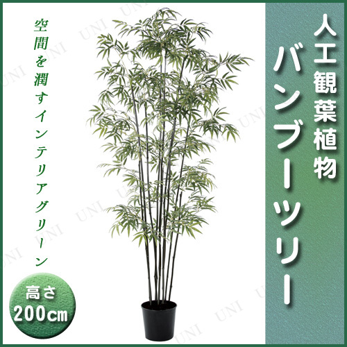 独創的 取寄品 人工観葉植物 バンブーツリー S ポット付 0cm 店舗装飾品 飾り デコレーション ディスプレイ Pop 販促品 七夕 たなばた 24時間限定 Www Bnooon Com