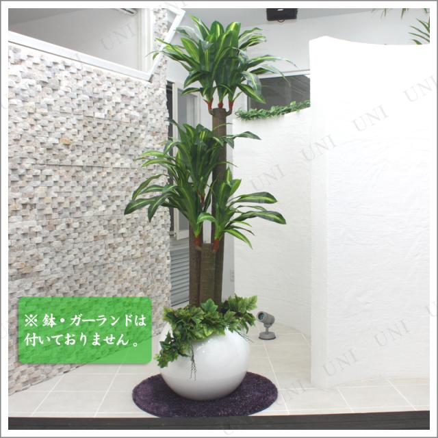 メーカー包装済 150cm光触媒 ドラセナフレグランス 造花 人工観葉植物 光触媒 フェイクグリーン 幸福の木 インテリアグリーン 消臭 抗菌 配送員設置送料無料 Olsonesq Com