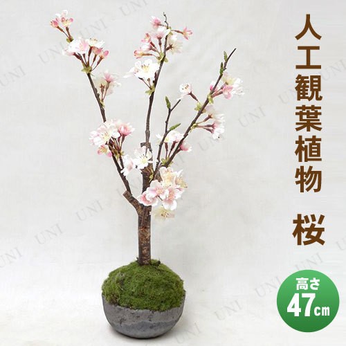 格安 取寄品 フェイクグリーン 光触媒 桜 47cm 人工観葉植物 小さい ミニサイズ ミニ観葉植物 消臭 抗菌 インテリアグリーン 値引きする David Olkarny Com