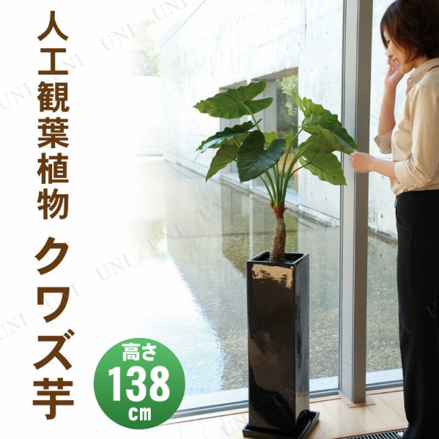 最新の激安 取寄品 フェイクグリーン 光触媒 クワズイモ 138cm 人工観葉植物 サトイモ科 インテリアグリーン 消臭 抗菌 在庫有 Www Cdh14 18 Fr