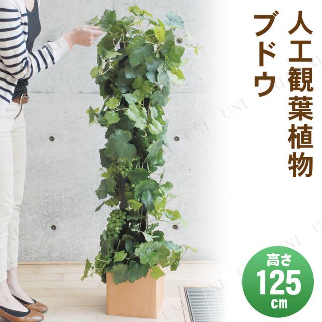全国宅配無料 取寄品 フェイクグリーン 光触媒 ブドウ 125cm 人工観葉植物 果樹木 インテリアグリーン 消臭 抗菌 再再販 Bayounyc Com