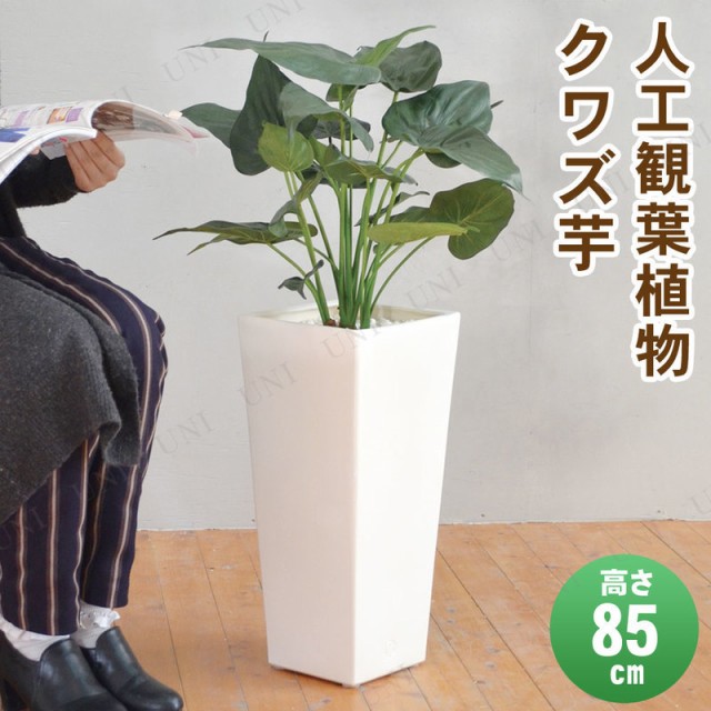 安い購入 取寄品 フェイクグリーン 光触媒 クワズイモ 85cm 人工観葉植物 サトイモ科 インテリアグリーン 消臭 抗菌 今月限定 特別大特価 Www Telechavesgaucha Com Br