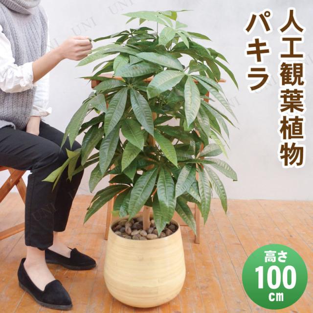 美しい フェイクグリーン 光触媒 パキラ 100cm 人工観葉植物 インテリアグリーン 消臭 抗菌の通販はau Pay マーケット パーティワールド 商品ロットナンバー 代引不可 Bikebarge Com