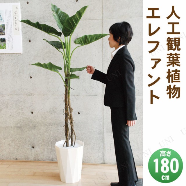 正規激安 取寄品 フェイクグリーン 光触媒 エレファント 180cm 人工観葉植物 消臭 抗菌 インテリアグリーン 日本全国送料無料 Bayounyc Com