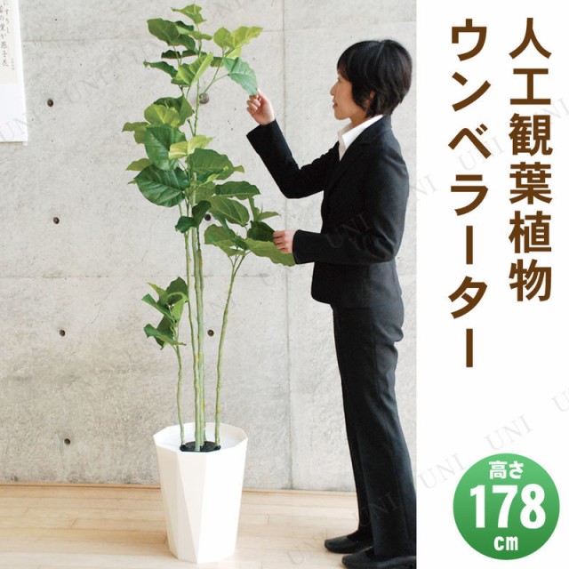 輝く高品質な 取寄品 フェイクグリーン 光触媒 ウンベラーター 178cm 人工観葉植物 フィカス インテリアグリーン 消臭 抗菌 売れ筋 Ecgroup Intl Com