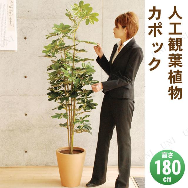 総合通販 取寄品 180cm 光触媒 カポック 消臭 抗菌 光触媒 花 ガーデン Diy工具 フェイクグリーン カポック 人工観葉植物 インテリアグリーン 製品割引