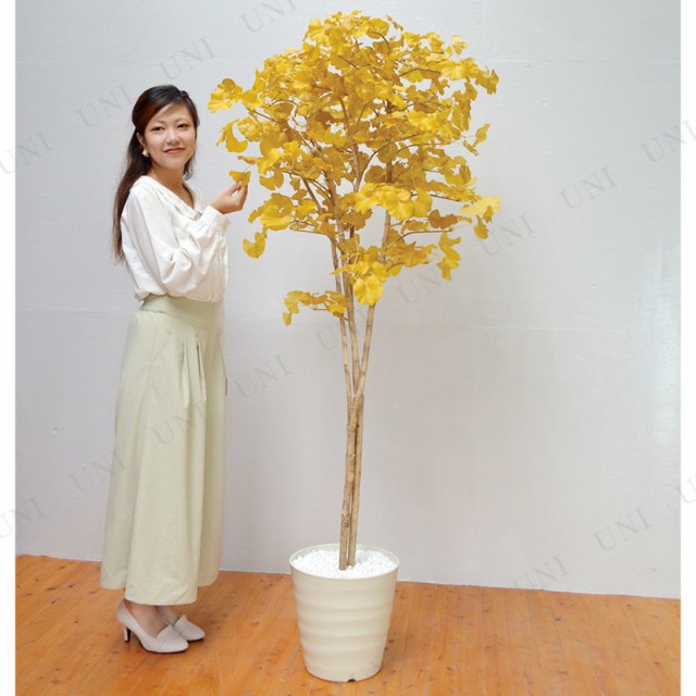 希少 取寄品 フェイクグリーン 光触媒 イチョウ 180cm 人工観葉植物 消臭 抗菌 インテリアグリーン 格安人気 Prawasnow In