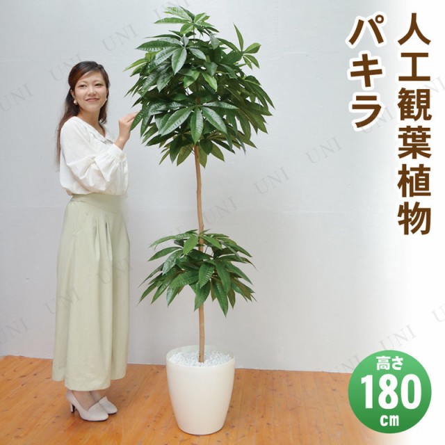 取寄品】 フェイクグリーン 光触媒 パキラ 180cm 【 人工観葉植物 消臭