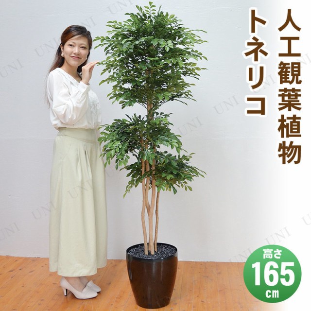 日本全国送料無料 フェイクグリーン 光触媒 トネリコ 165cm 人工観葉植物 消臭 抗菌 インテリアグリーンの通販はau Pay マーケット パーティワールド 商品ロットナンバー お気にいる Arinsa Com Pe