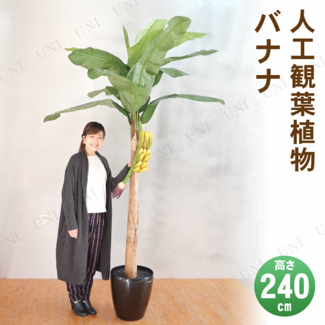 受賞店舗 取寄品 フェイクグリーン 光触媒 バナナ 240cm 人工観葉植物 大きい 果樹木 インテリアグリーン 消臭 抗菌 高い品質 Ecgroup Intl Com