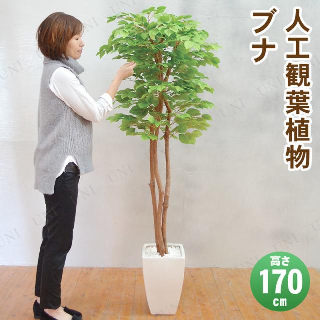 絶対一番安い フェイクグリーン 光触媒 ブナ 170cm 人工観葉植物 消臭 抗菌 インテリアグリーンの通販はau Pay マーケット パーティワールド 商品ロットナンバー 宅送 Otobusbiletionline Com