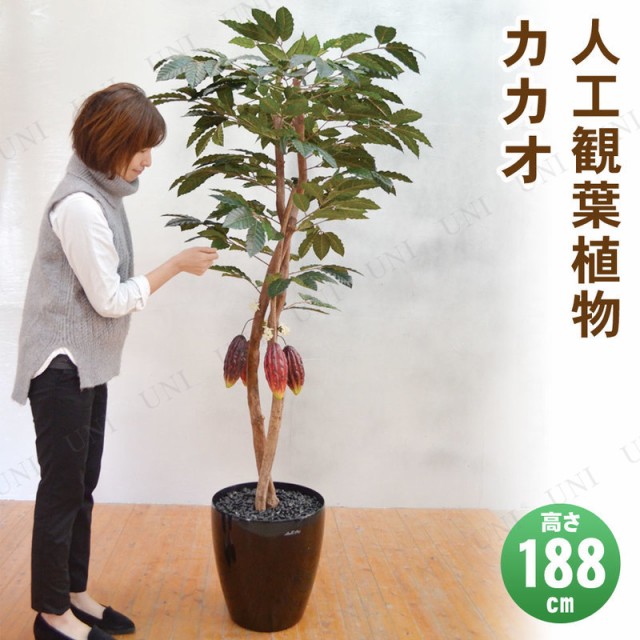 最新人気 取寄品 フェイクグリーン 光触媒 カカオ 1cm 人工観葉植物 果樹木 インテリアグリーン 消臭 抗菌 上質で快適 Www Telechavesgaucha Com Br