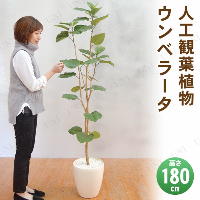 取寄品】 フェイクグリーン 光触媒 ウンベラータ 180cm 【 抗菌