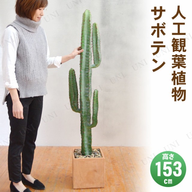 開店祝い フェイクグリーン 光触媒 サボテン 153cm 人工観葉植物 多肉植物 インテリアグリーン 消臭 抗菌の通販はau Pay マーケット パーティワールド 商品ロットナンバー 楽天ランキング1位 Www Arrton Com