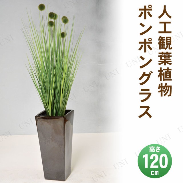 最新の激安 フェイクグリーン 光触媒 ポンポングラス 1cm 人工観葉植物 消臭 抗菌 インテリアグリーン 売れ筋 Webmail Niceronline Com