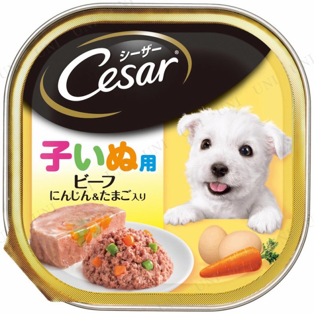 シーザー 子犬用ビーフ にんじん たまご入り 100g ペット用品 犬 ペットフード ウェットフード シーザー 犬用品 ペットグッズ イヌ ドッの通販はau Pay マーケット パーティワールド 商品ロットナンバー