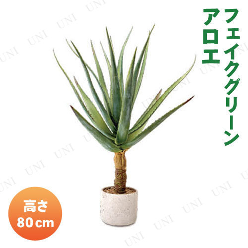 特売 取寄品 フェイクグリーン アロエ 人工観葉植物 多肉植物 インテリアグリーン 高速配送 Diquinsa Com Mx