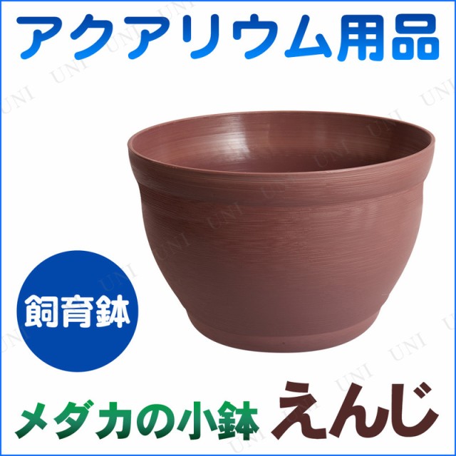 取寄品 メダカの小鉢 えんじ アクアリウム用品 ペット用品 ペットグッズ メダカ鉢 メダカ水槽 めだかの通販はau Pay マーケット パーティワールド 商品ロットナンバー