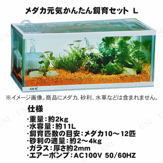 メダカ元気 かんたん飼育セット L メダカ 水槽 アクアリウム用品 ペット用品 ペットグッズの通販はau Pay マーケット パーティワールド 商品ロットナンバー