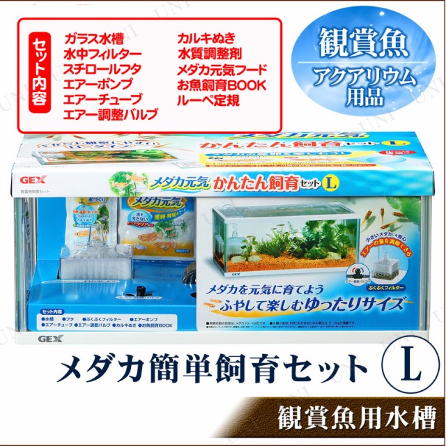 メダカ元気 かんたん飼育セット L メダカ 水槽 アクアリウム用品 ペット用品 ペットグッズの通販はau Pay マーケット パーティワールド 商品ロットナンバー