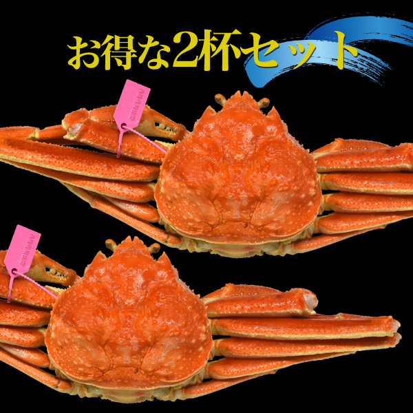 松葉ガニ 約700 800g 2杯セット 濃厚 カニ 蟹 かに 2匹 産地直送 産地証明タグ付き ボイル 釜茹 ズワイガニ 海鮮 海の幸 宴会 送料無料 の通販はau Wowma ワウマ Wil Mart スマホグッズやペット商品など新商品入荷中 商品ロットナンバー