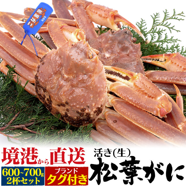 松葉ガニ 姿 600 700g 2杯セット ブランドタグ付き 活き 松葉カニ 松葉がに 境港直送 活蟹 ズワイガニ 2匹 まつばがに 産直 送料無料 蟹の通販はau Pay マーケット Wil Mart 商品ロットナンバー