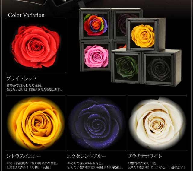 送料無料★ローズベルシア×カフスボタン & ネクタイピン セット スワロフスキー タイピン カフス スーツ 結婚式 フォーマル