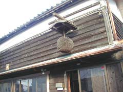 年に一度の限定醸造 頚城酒造限定3本セット(しぼりたて純米吟醸 蔵元厳封吟醸 完熟原酒) 720ml×3本 ギフト飲み比べ セット 年に一度の限定醸造 頚城酒造限定3本セット(しぼりたて純米吟醸 蔵元厳封吟醸 完熟原酒) 720ml×3本 ギフト飲み比べ セット