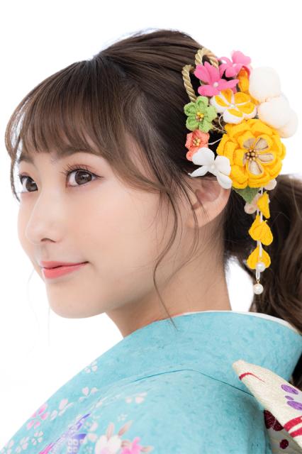 新着商品 成人式 髪飾り 成人式の髪飾り 2点セット 黄色 イエロー ピンク 梅 菊 花 縮緬 ちりめん 丸つまみ つまみ細工 藤下がり ぶら飾り コーム 期間限定 30 Off Abcdentalsurgery Co Uk