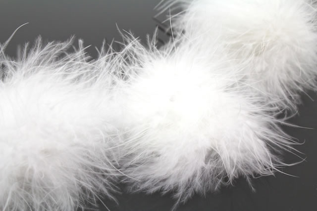 エレガント白い ファー 最高の花の画像