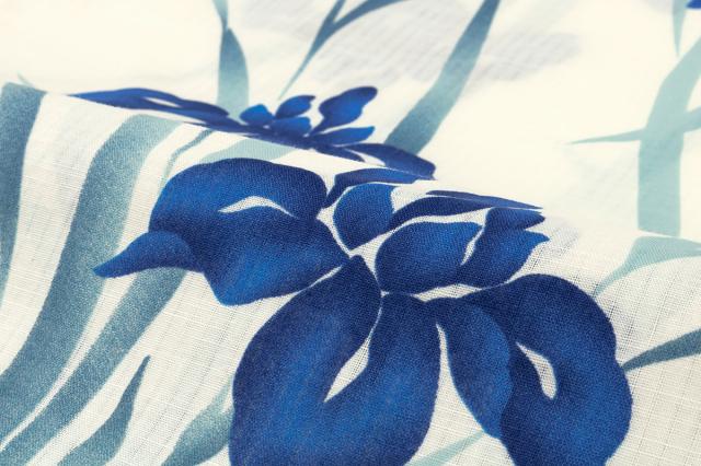 50 Off 浴衣 レディース ブルー 青系 ホワイト 白 菖蒲 花 フラワー レトロモダン 綿 絽 変わり織り 夏祭り 花火大会 女性用 仕立て上がり フ 豪華 Carlavista Com