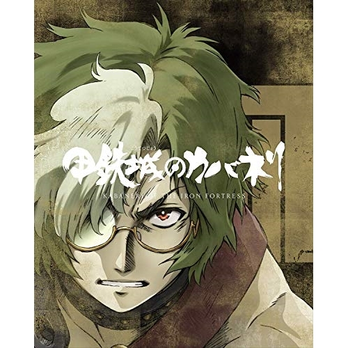 人気満点 Blu Ray 甲鉄城のカバネリ 総集編 完全生産限定版 Blu Ray Disc Anzx 超人気 Olsonesq Com