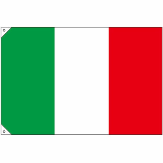 春先取りの N国旗(販促用) 23653 イタリア 小 代引き不可 - enklu.com