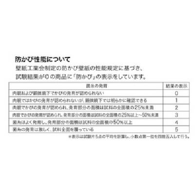 想像を超えての 和紙調 のり無し壁紙 Fe 1521 92ｃｍ巾 45m巻 送料無料 送料無料 Sinviolencia Lgbt