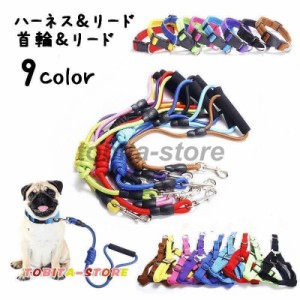 リード 首輪 ハーネス 2点セット ペットグッズ ペット用品 犬用 リーシュ カラー 胴輪 散歩紐 お散歩グッズ お出かけ 牽引紐 無地 おしゃ