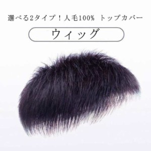  ウィッグ  人毛 トップカバー 男性用ウィッグ ヘアピース 普段使い 白髪隠し 人毛ウィッグ メンズ ショート トップピース 薄毛隠し