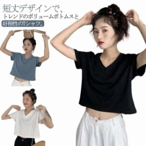 tシャツ ショート丈 レディース カットソー トップス 半袖 無地 インナー  シンプル Vネック 半袖tシャツ Vネックtシャツ 半袖 