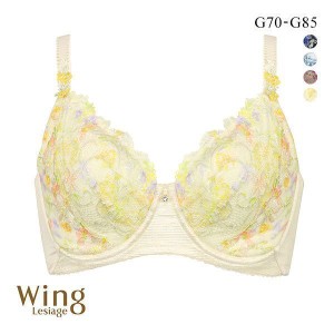 15％OFF【送料無料】 ウイング Wing レシアージュ Lesiage 23AW 2850シリーズ 小さく見せる フルカップブラジャー G 単品 大きいサイズ