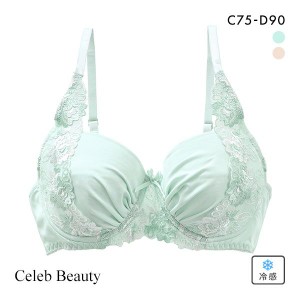 脇高ブラ ブラジャー 脇高 レディース 下着 セレブビューティー Celeb Beauty サイドアップワイヤーブラ 3/4カップ 単品 CD 接触冷感 ひ