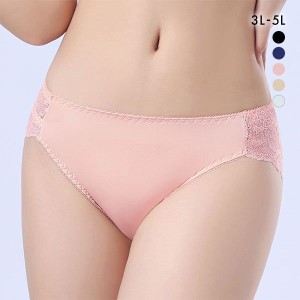 ショーツ レディース 大きいサイズ パンツ 下着 女性 メール便(7) レースショーツ 3L 4L 5L バック総レース スタンダード ひびきにくい 