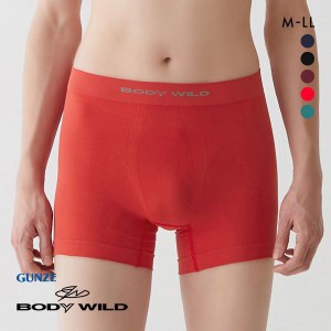 ボクサー パンツ ロング 20％OFF メール便(30) グンゼ GUNZE ボディワイルド BODY WILD e-BOXER 3D-BOXER 立体成型 前とじ セミ 