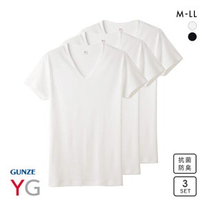 20％OFF グンゼ GUNZE ワイジー YG コットン100％ Vネック Tシャツ メンズ 定番 ベーシック オールシーズン 三枚組