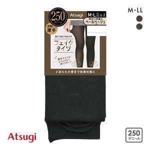 【メール便(30)】 アツギ ATSUGI フェイクタイツ 厚手タイプ 250デニール