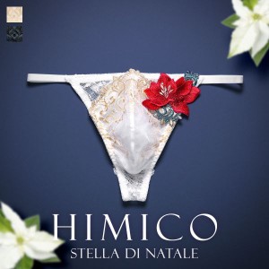 【メール便(5)】【送料無料】 HIMICO 煌びやかな幸福に満ち溢れる Stella di Natale Tバック パンツ レース ビキニ メンズ M L 018series