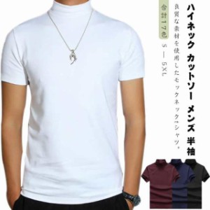 送料無料 ハイネック カットソー メンズ 半袖 Tシャツ 無地tシャツ 夏 ハイネックtシャツ ティーシャツ 半袖 トップス 無地 ゴルフウェア