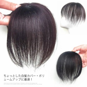 ウィッグ 部分ウィッグ 人毛100％ 白髪隠し  ヘアピース ミセス 自然 部分かつら 薄毛対策 増毛 つけ毛 女性用 かつら 頭頂部カバー