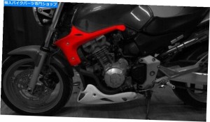 フェアリング ホンダホーネットCB900のための側面のフェアリング Side fairings for Honda Hornet CB900