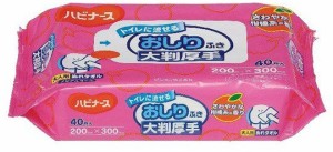 排泄 介護用品 トイレに流せるおしりふき 大判厚手タイプ 40枚 11601 11112