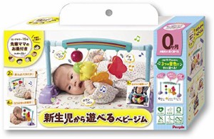 うちの赤ちゃん世界一新生児から遊べるベビージム