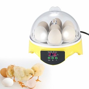自動孵卵器 7卵 ミニ デジタル 孵卵機 透明 卵の孵化機 自動温度制御 鶏卵 アヒル うずら 家庭用